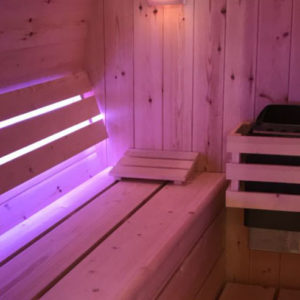 Panorama Barrel Sauna with Dome - Image 2